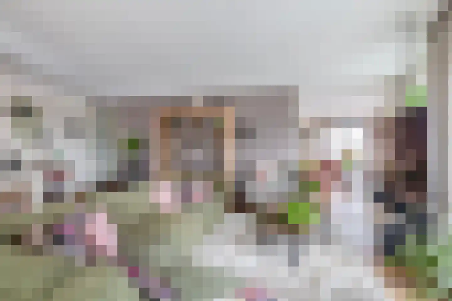 Dorpsstraat 62 Capelle aan den IJssel thumbnail 14