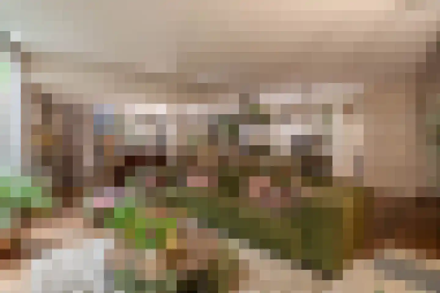 Dorpsstraat 62 Capelle aan den IJssel thumbnail 17