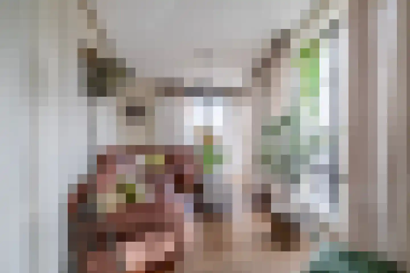 Dorpsstraat 62 Capelle aan den IJssel thumbnail 18
