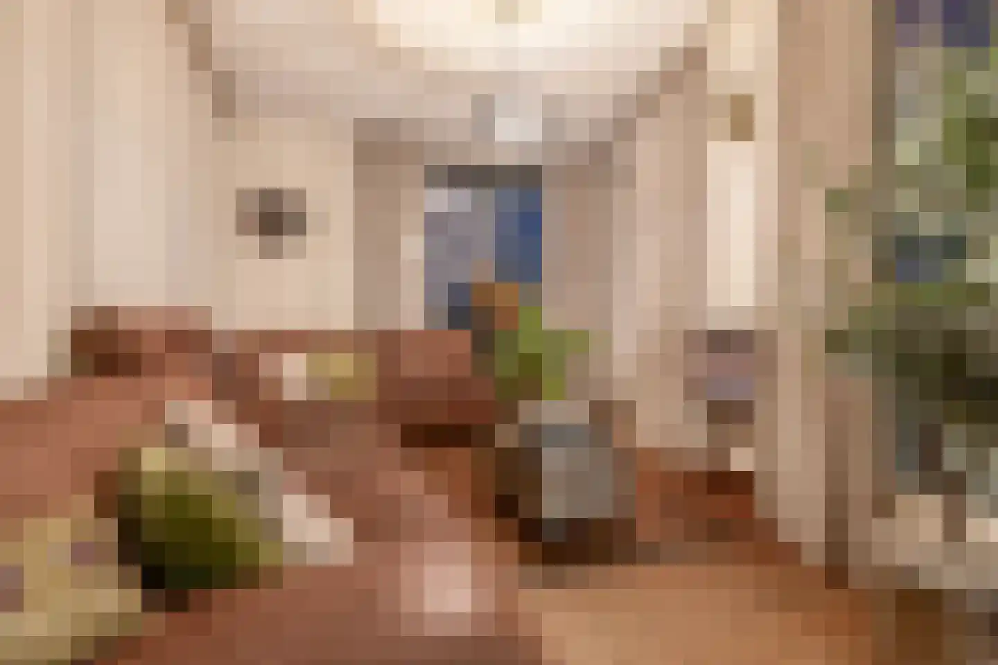 Dorpsstraat 62 Capelle aan den IJssel thumbnail 19