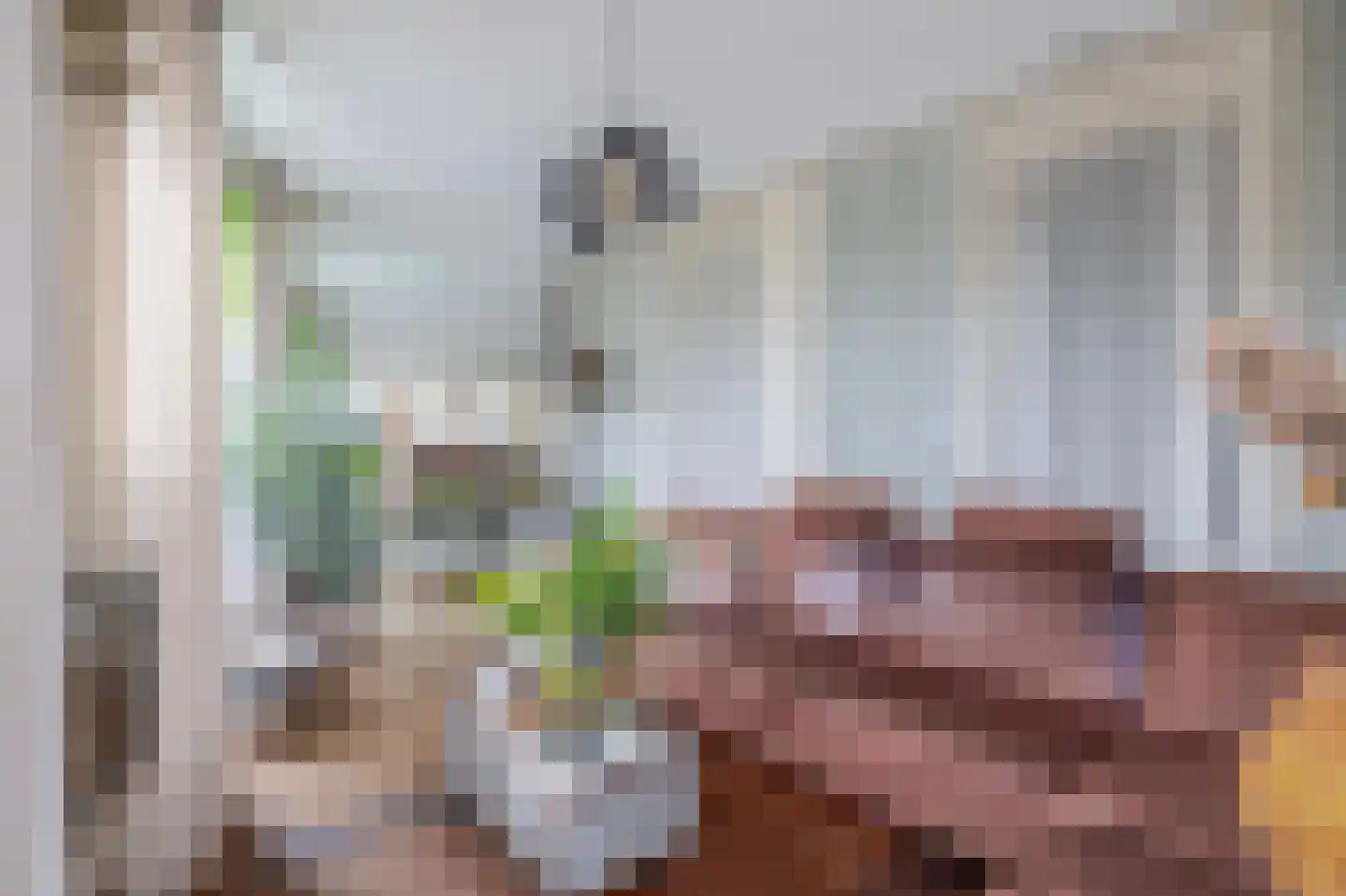 Dorpsstraat 62 Capelle aan den IJssel thumbnail 20