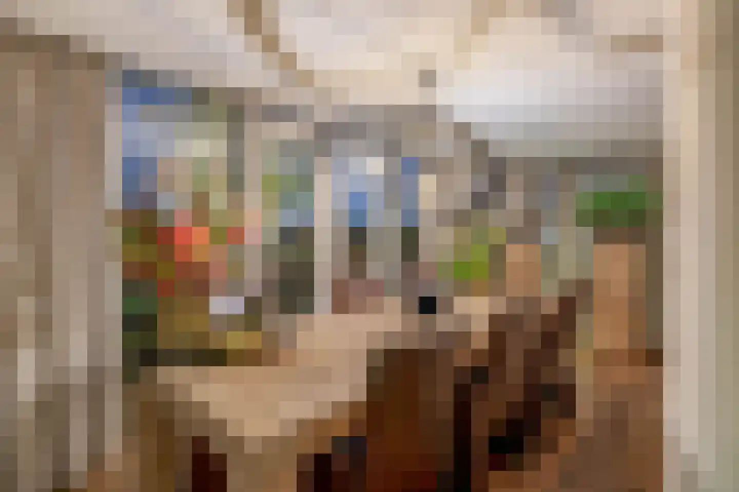 Dorpsstraat 62 Capelle aan den IJssel thumbnail 22