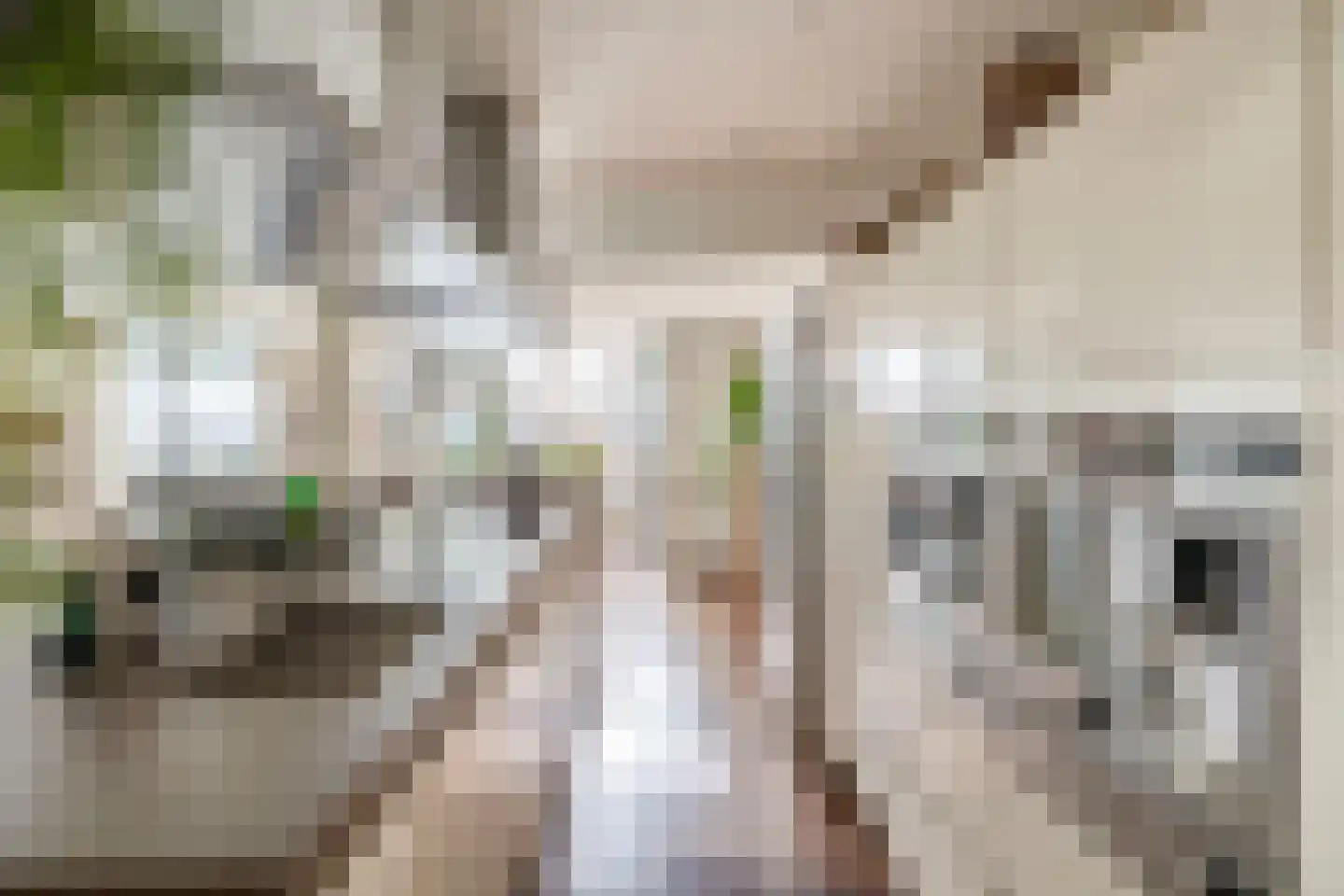Dorpsstraat 62 Capelle aan den IJssel thumbnail 25