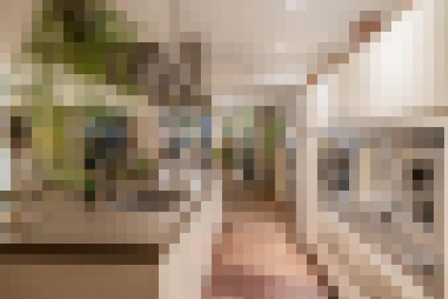 Dorpsstraat 62 Capelle aan den IJssel thumbnail 26