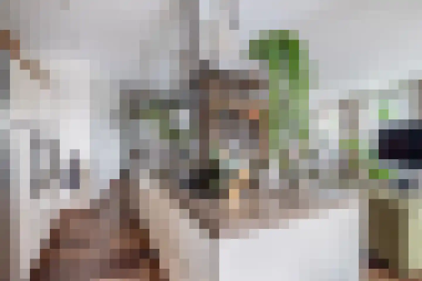 Dorpsstraat 62 Capelle aan den IJssel thumbnail 27