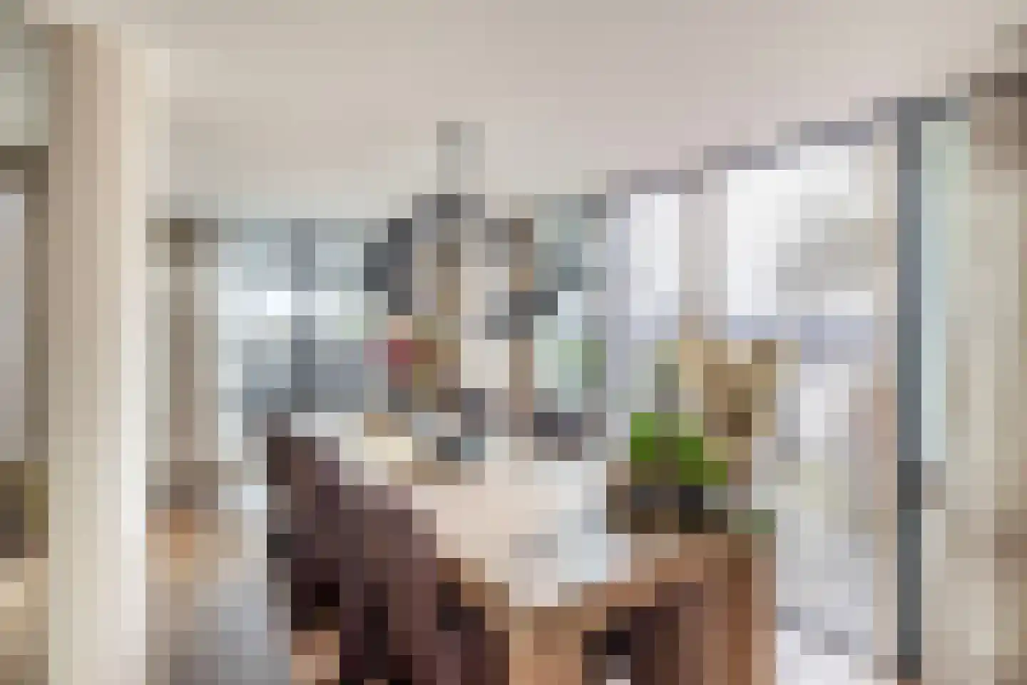 Dorpsstraat 62 Capelle aan den IJssel thumbnail 28