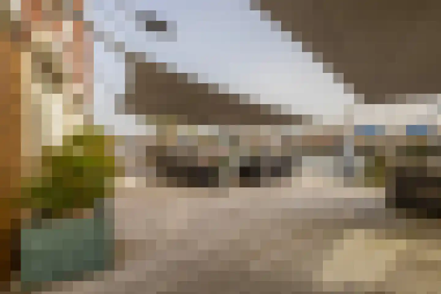 Dorpsstraat 62 Capelle aan den IJssel thumbnail 33