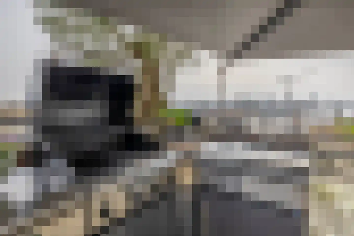 Dorpsstraat 62 Capelle aan den IJssel thumbnail 36