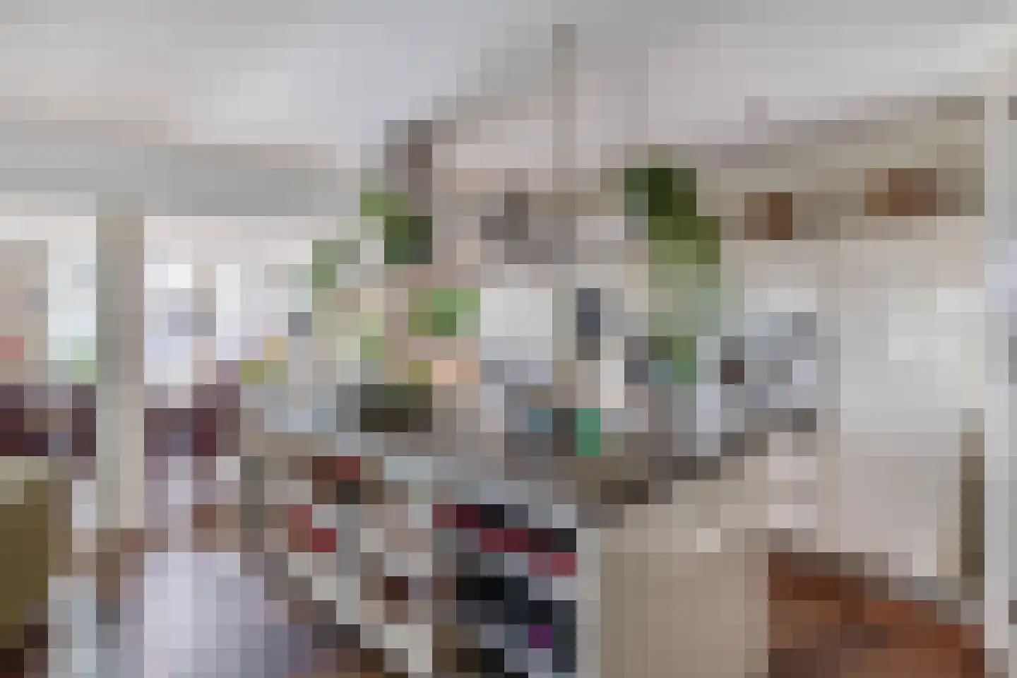 Dorpsstraat 62 Capelle aan den IJssel thumbnail 4