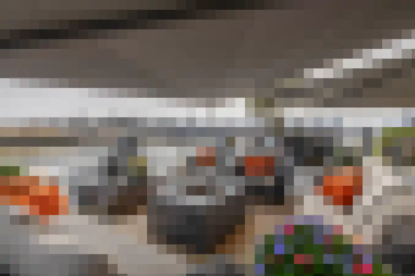 Dorpsstraat 62 Capelle aan den IJssel thumbnail 45