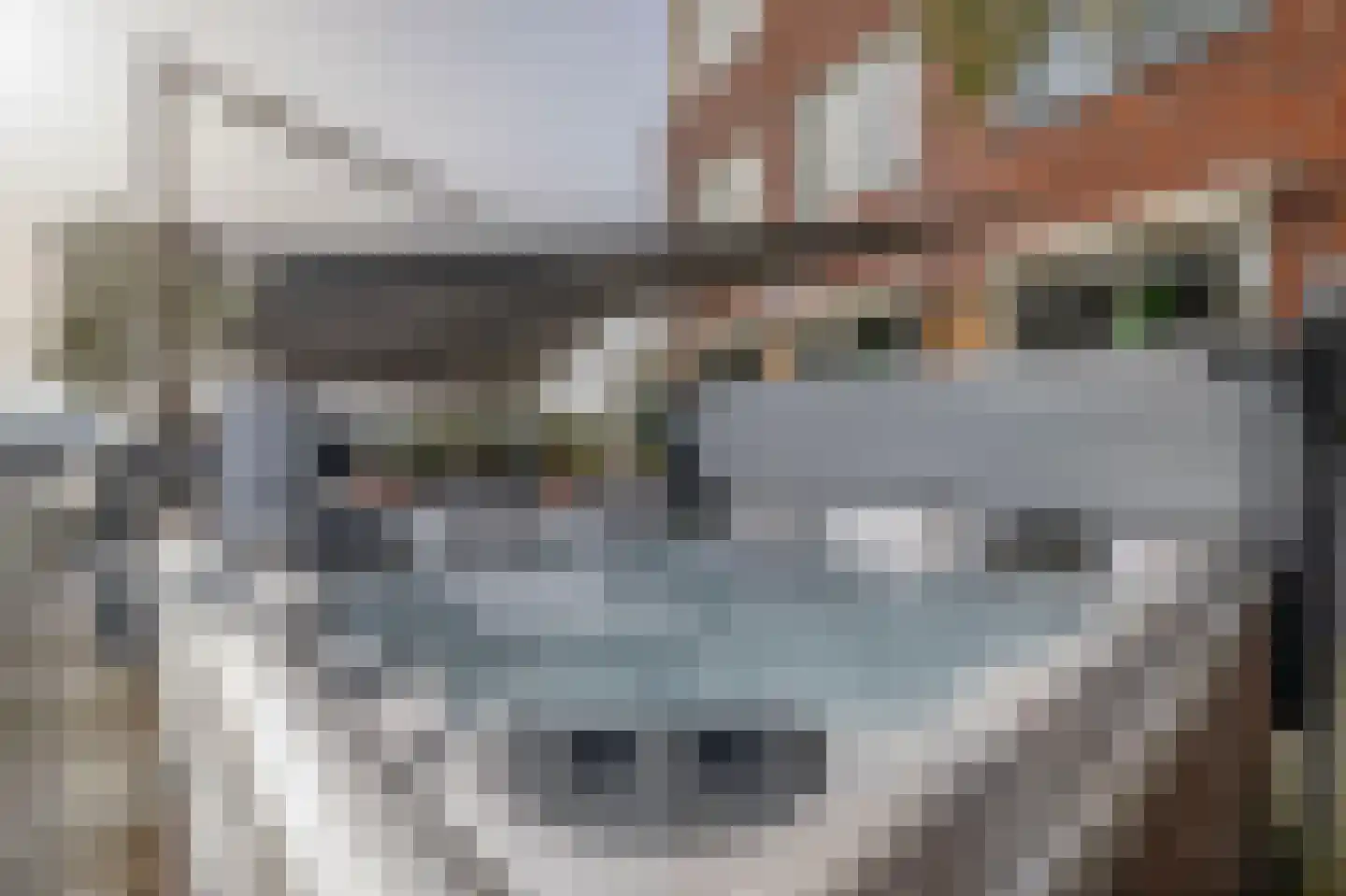 Dorpsstraat 62 Capelle aan den IJssel thumbnail 51