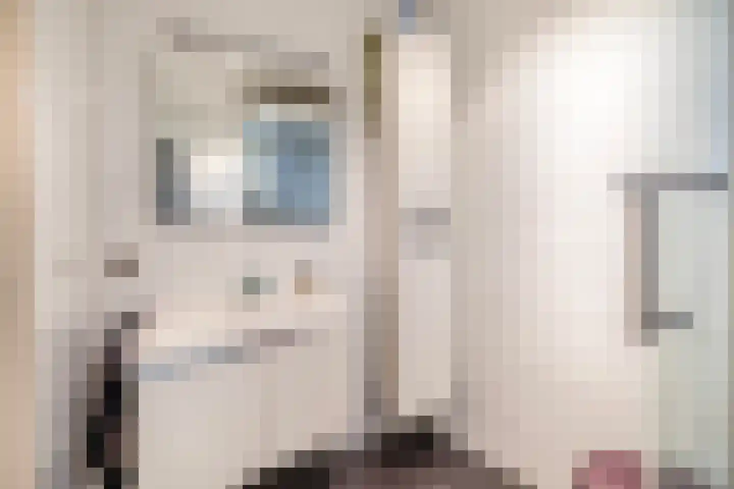 Dorpsstraat 62 Capelle aan den IJssel thumbnail 58