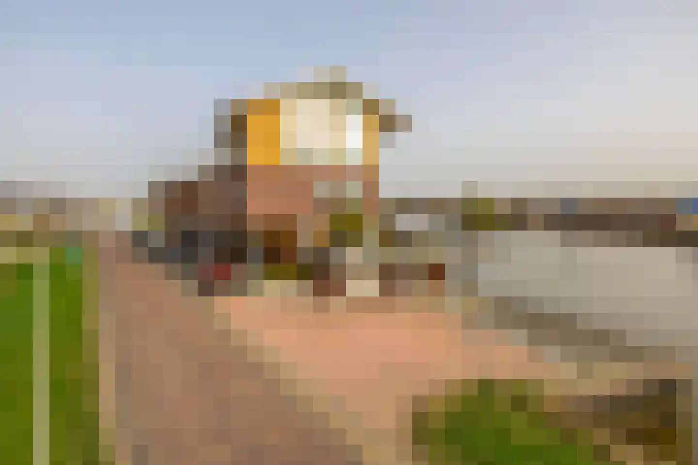 Dorpsstraat 62 Capelle aan den IJssel thumbnail 66