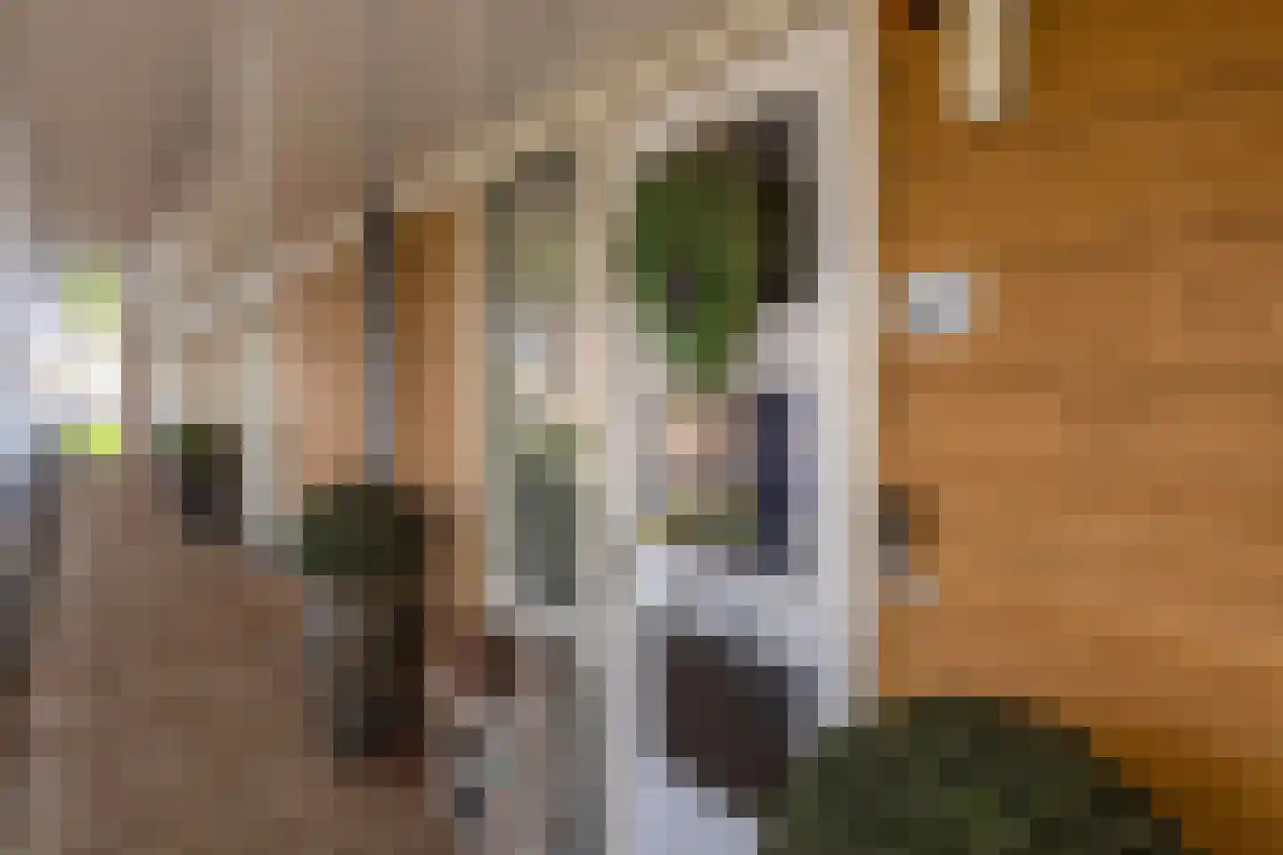 Dorpsstraat 62 Capelle aan den IJssel thumbnail 7