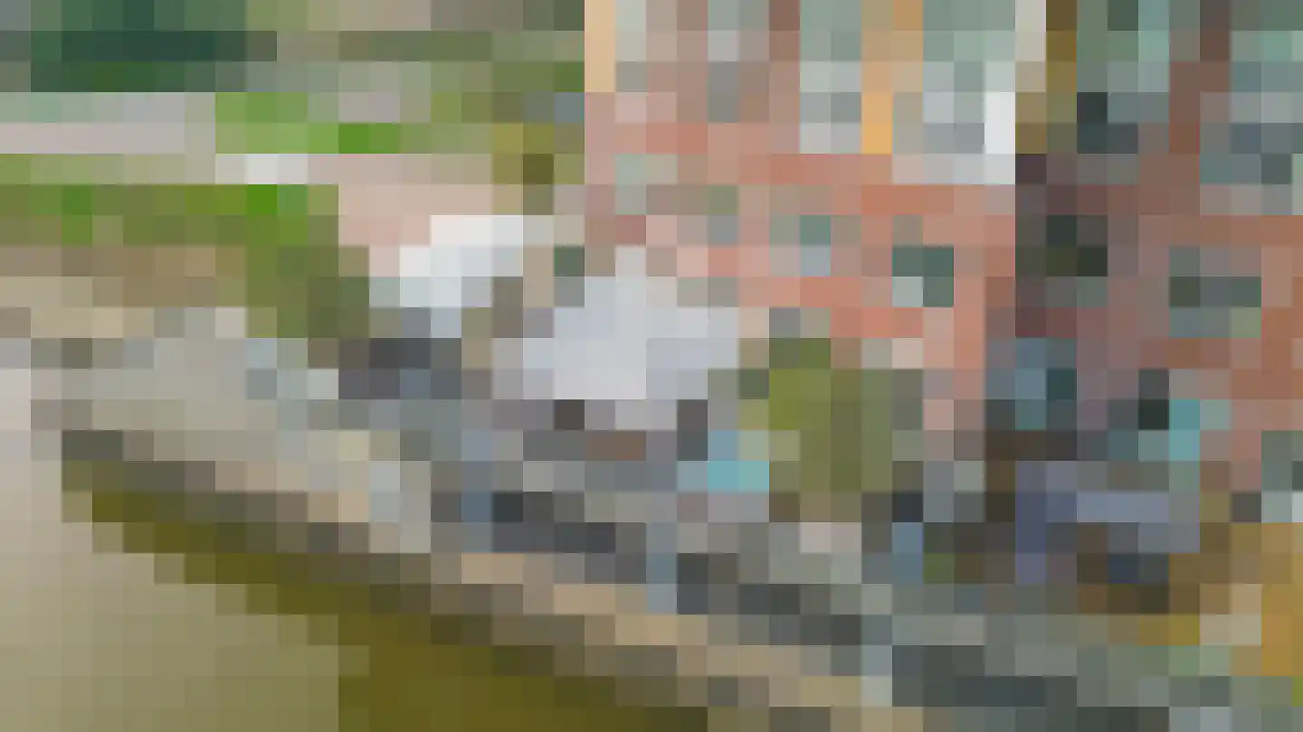 Dorpsstraat 62 Capelle aan den IJssel thumbnail 83