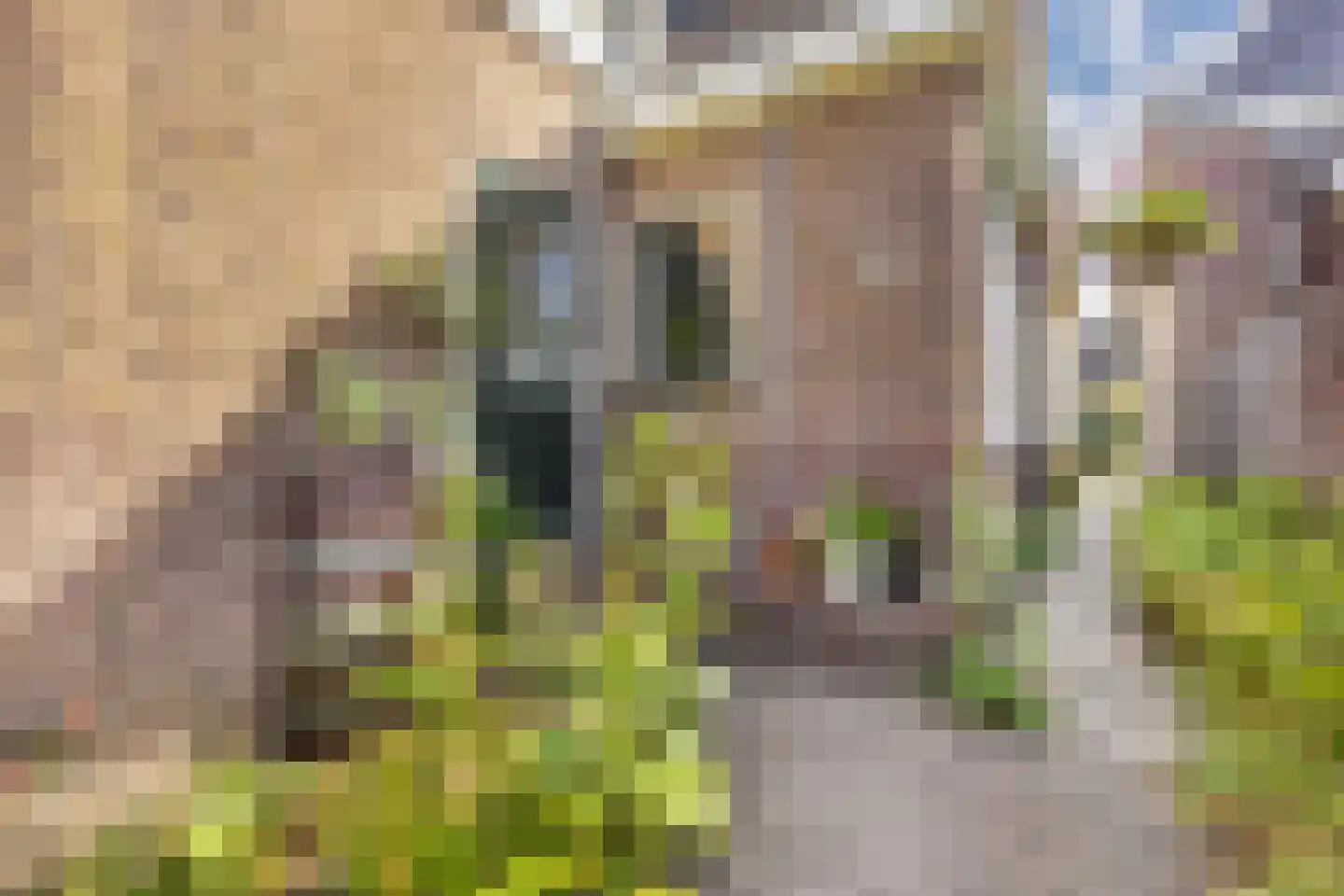 Dorpsstraat 621 Noord-Scharwoude thumbnail 47