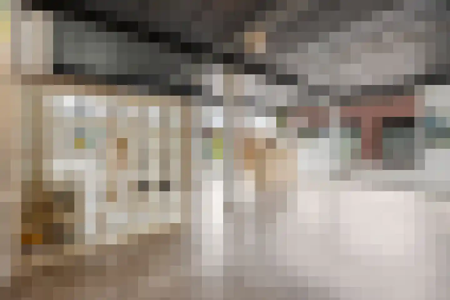 Dorpsstraat 625 Noord-Scharwoude thumbnail 17