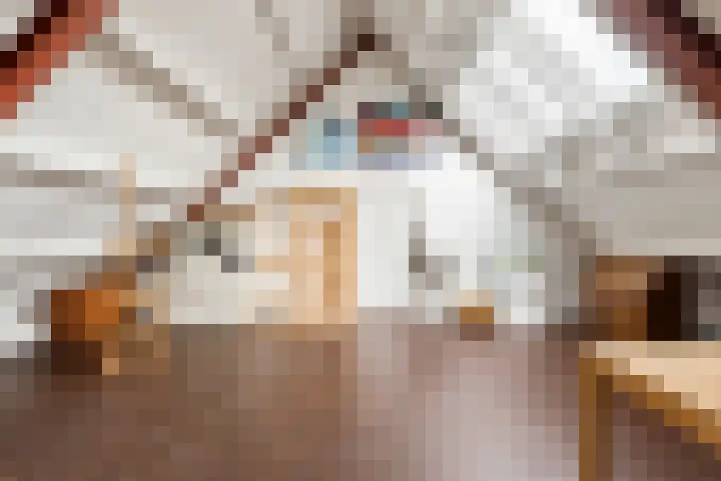 Dorpsstraat 625 Noord-Scharwoude thumbnail 29