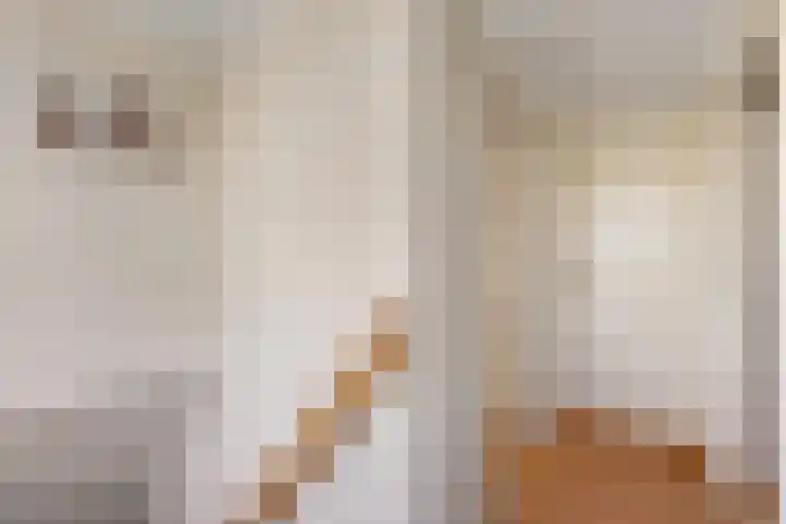 Dorpsstraat 63 Heeten thumbnail 41
