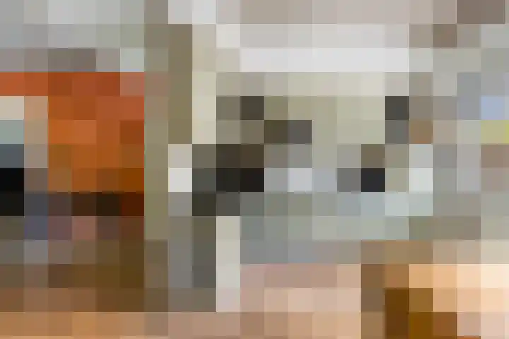 Dorpsstraat 63 Krimpen aan de Lek thumbnail 10