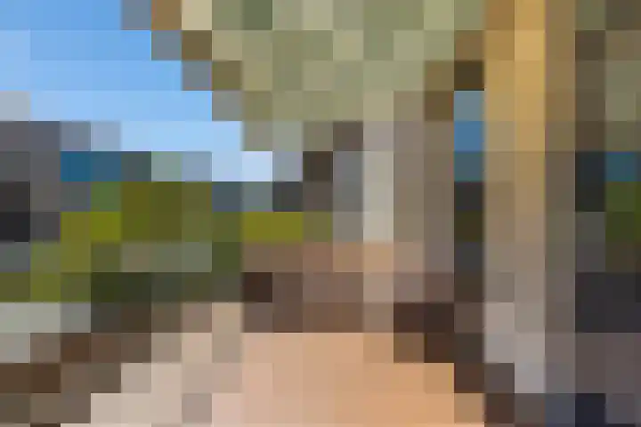 Dorpsstraat 63 Krimpen aan de Lek thumbnail 14