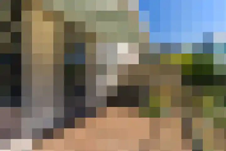 Dorpsstraat 63 Krimpen aan de Lek thumbnail 15