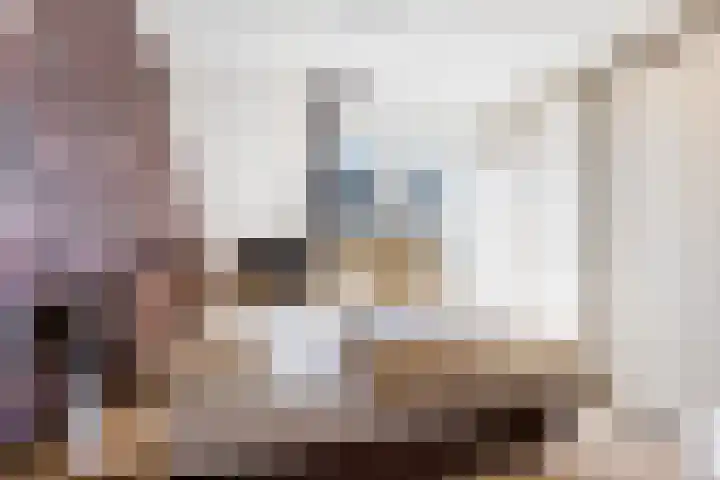 Dorpsstraat 63 Krimpen aan de Lek thumbnail 22