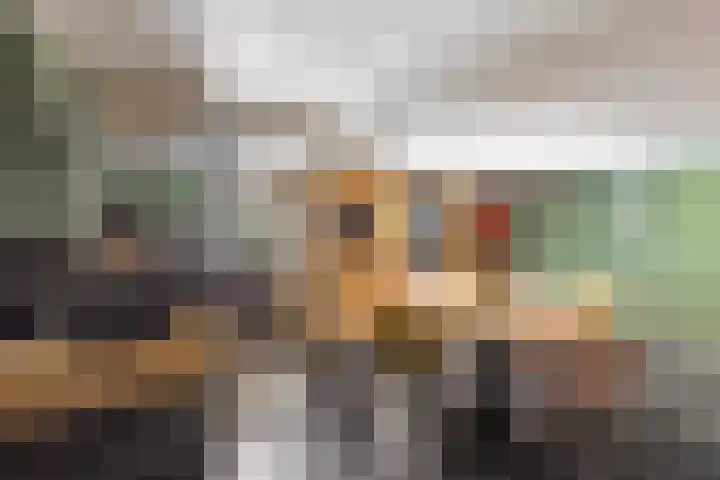 Dorpsstraat 63 Krimpen aan de Lek thumbnail 31
