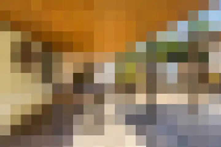 Dorpsstraat 63 Krimpen aan de Lek thumbnail 39