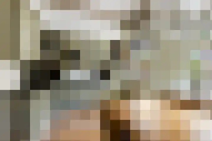 Dorpsstraat 63 Krimpen aan de Lek thumbnail 4