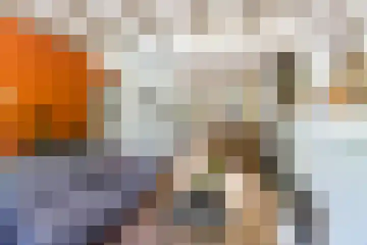 Dorpsstraat 63 Krimpen aan de Lek thumbnail 6