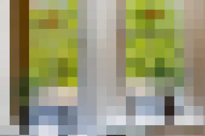 Dorpsstraat 63 Krimpen aan de Lek thumbnail 7