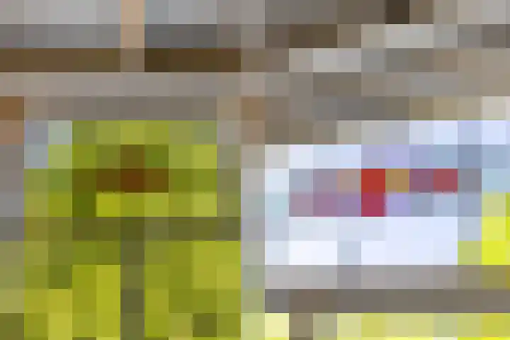 Dorpsstraat 63 Krimpen aan de Lek thumbnail 8