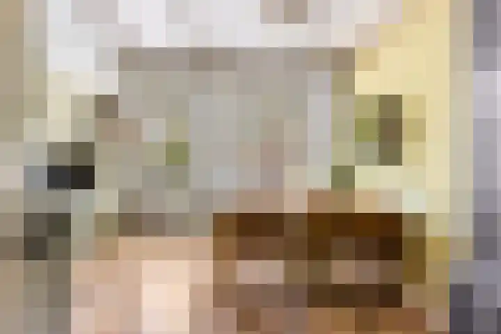 Dorpsstraat 63 Krimpen aan de Lek thumbnail 9