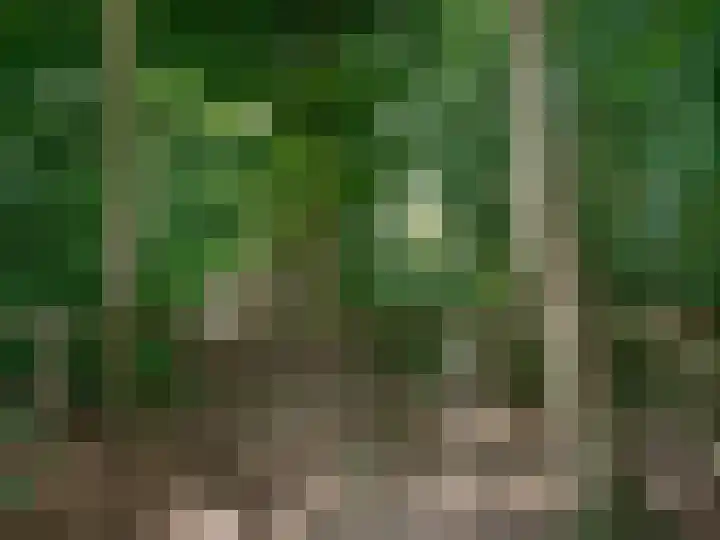 Dorpsstraat 63 Nijmegen thumbnail 32