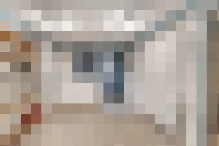 Dorpsstraat 64 Bemmel thumbnail 22