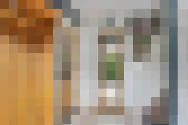 Dorpsstraat 64 Bemmel thumbnail 8