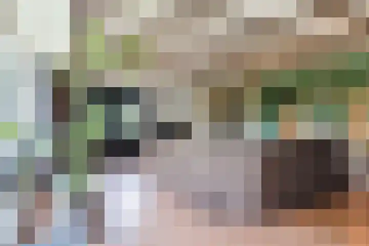 Dorpsstraat 64 Dalerpeel thumbnail 4