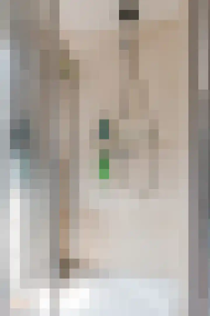 Dorpsstraat 64 Dalerpeel thumbnail 47