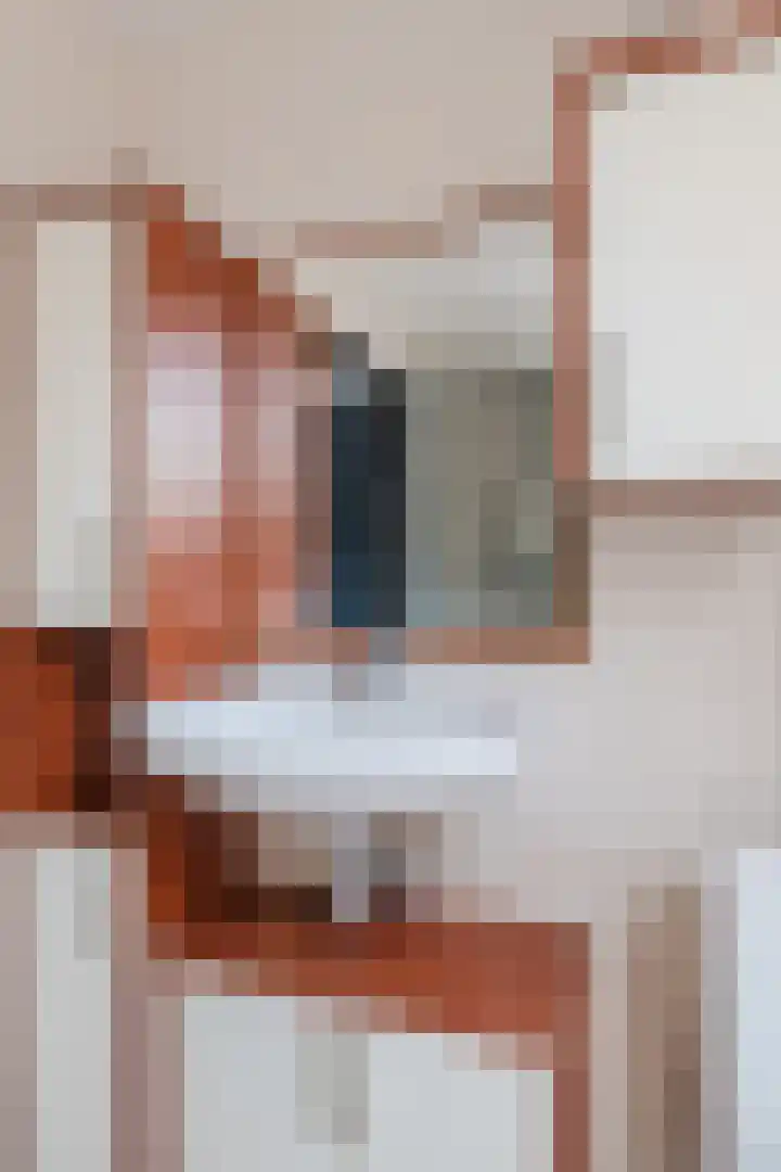 Dorpsstraat 64 Dalerpeel thumbnail 48
