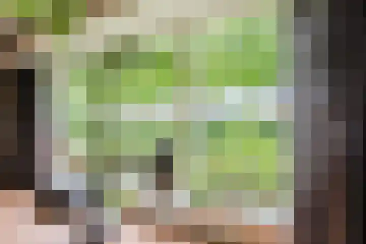 Dorpsstraat 64 Dalerpeel thumbnail 5