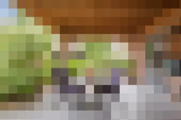 Dorpsstraat 64 Dalerpeel thumbnail 52