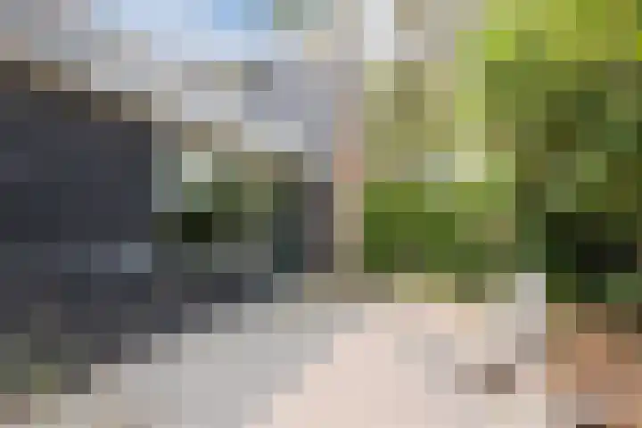Dorpsstraat 64 Dalerpeel thumbnail 56
