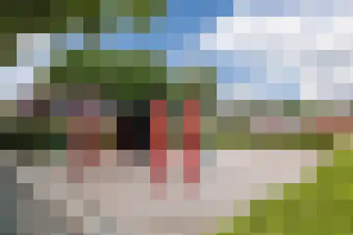 Dorpsstraat 64 Dalerpeel thumbnail 57