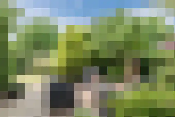 Dorpsstraat 64 Dalerpeel thumbnail 58