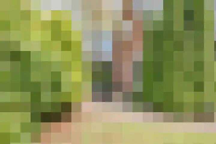 Dorpsstraat 64 Dalerpeel thumbnail 59