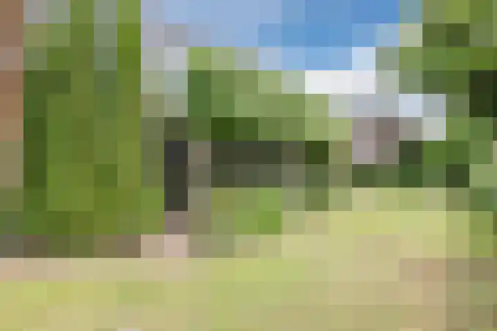 Dorpsstraat 64 Dalerpeel thumbnail 60
