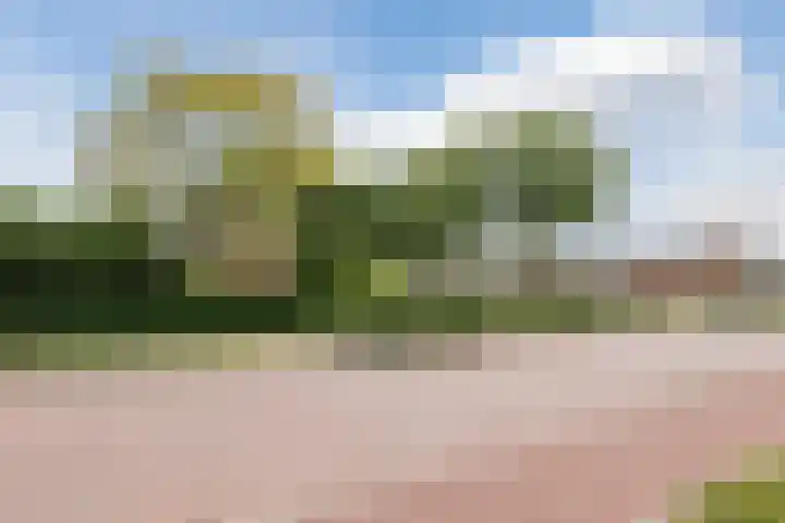 Dorpsstraat 64 Dalerpeel thumbnail 64