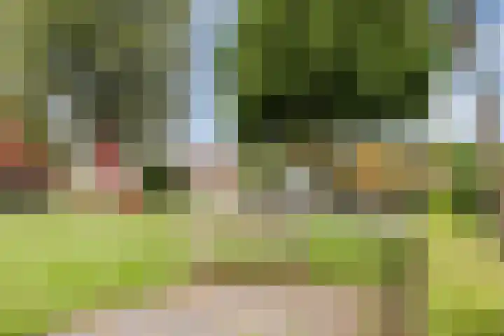 Dorpsstraat 64 Dalerpeel thumbnail 67