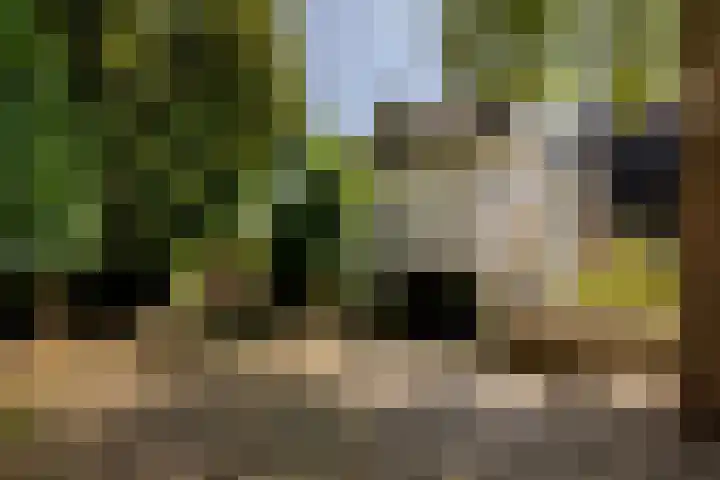 Dorpsstraat 64 Moordrecht thumbnail 37